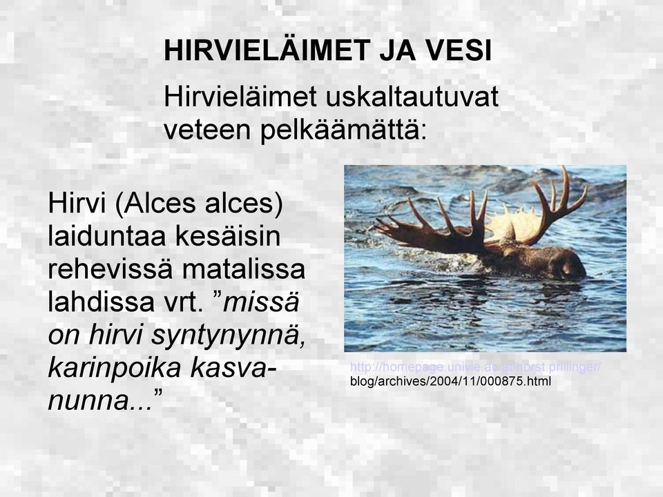 vrt. missä on hirvi syntynynnä, karinpoika kasvanunna.