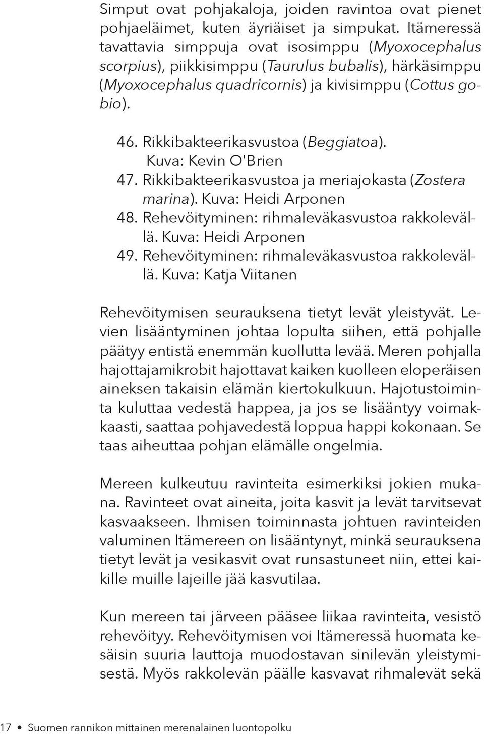 Rikkibakteerikasvustoa (Beggiatoa). Kuva: Kevin O'Brien 47. Rikkibakteerikasvustoa ja meriajokasta (Zostera marina). Kuva: Heidi Arponen 48. Rehevöityminen: rihmaleväkasvustoa rakkolevällä.