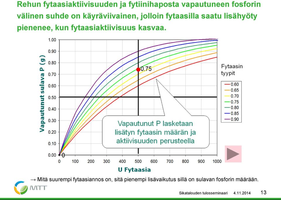 fytaasiaktiivisuus kasvaa.