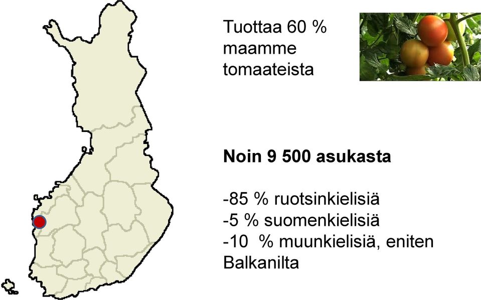 ruotsinkielisiä -5 %