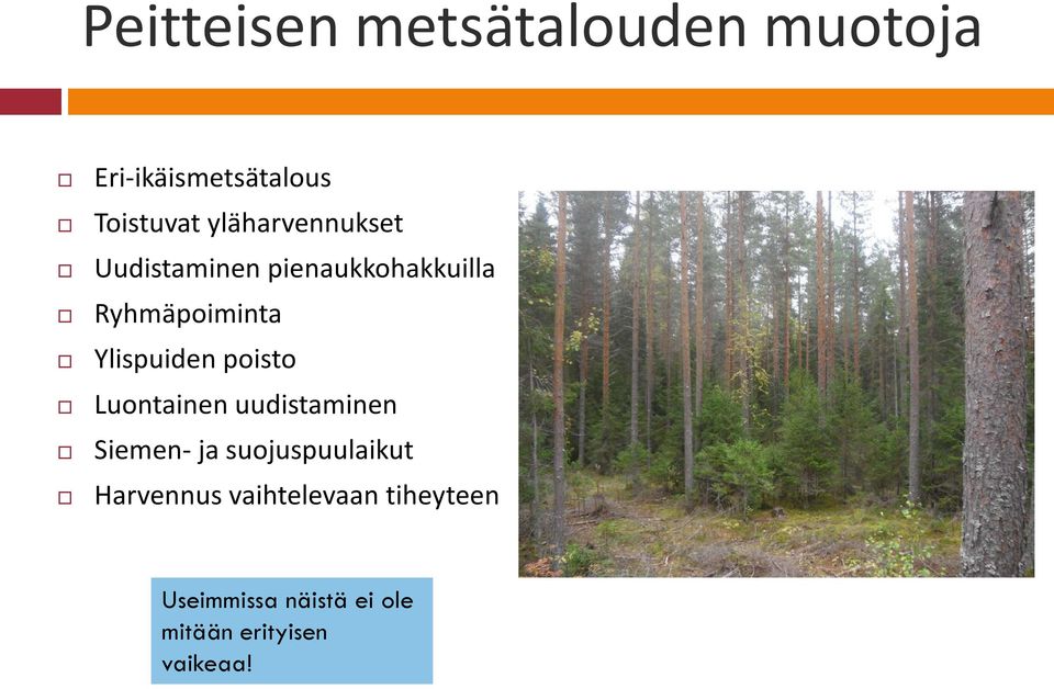 Ylispuiden poisto Luontainen uudistaminen Siemen- ja suojuspuulaikut