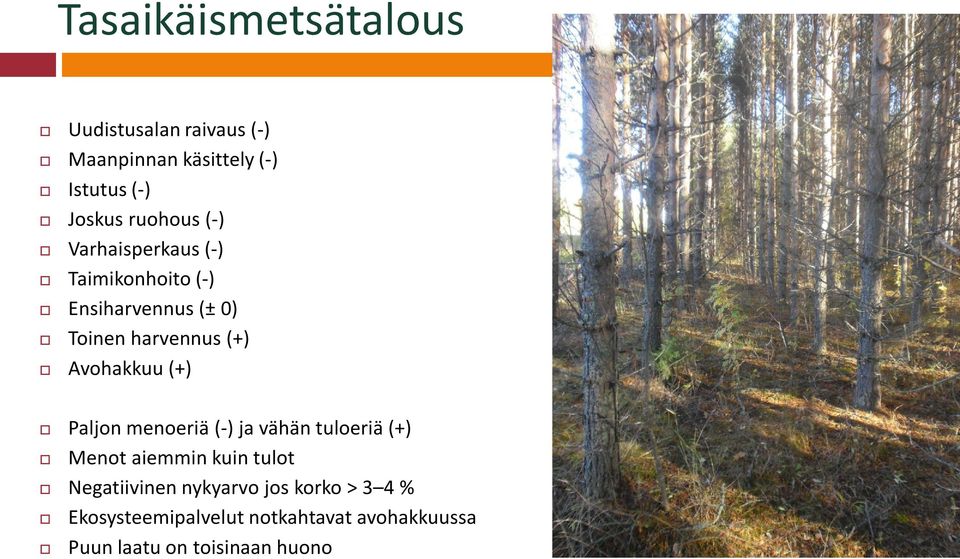 Avohakkuu (+) Paljon menoeriä (-) ja vähän tuloeriä (+) Menot aiemmin kuin tulot Negatiivinen