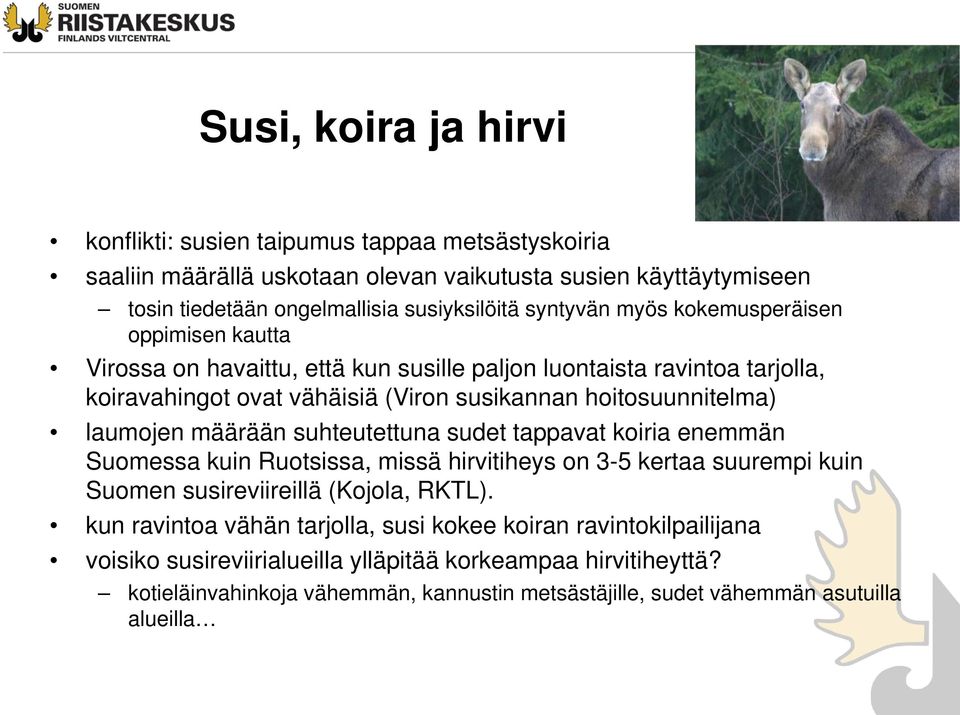 laumojen määrään suhteutettuna sudet tappavat koiria enemmän Suomessa kuin Ruotsissa, missä hirvitiheys on 3-5 kertaa suurempi kuin Suomen susireviireillä (Kojola, RKTL).