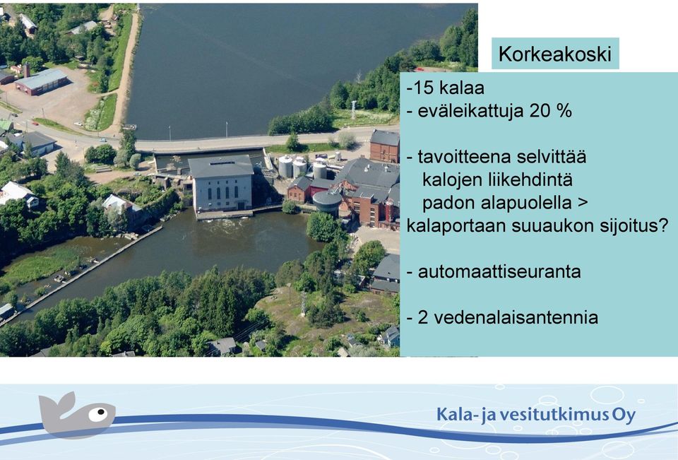 padon alapuolella > kalaportaan suuaukon