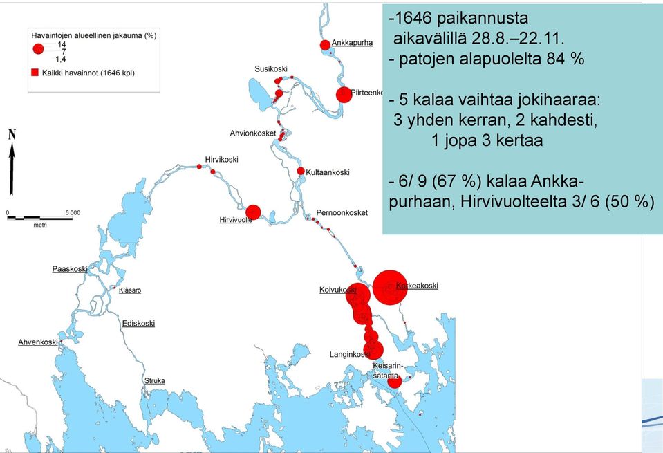 jokihaaraa: 3 yhden kerran, 2 kahdesti, 1 jopa 3