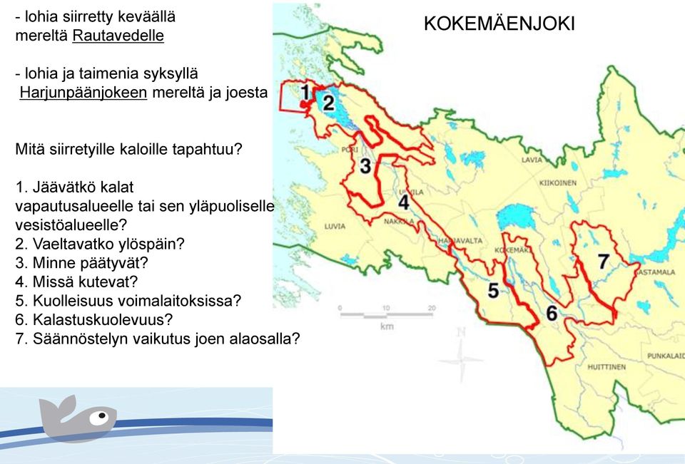 Jäävätkö kalat vapautusalueelle tai sen yläpuoliselle vesistöalueelle? 2. Vaeltavatko ylöspäin? 3.