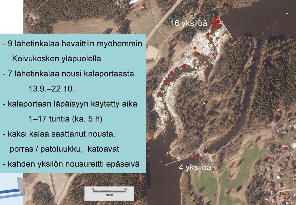 - kalaportaan läpäisyyn käytetty aika 1 17 tuntia (ka.