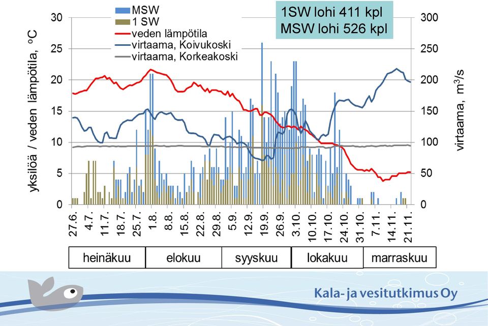 MSW lohi