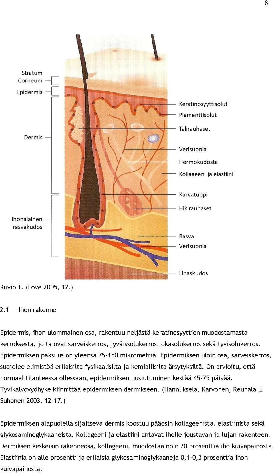 Epidermiksen paksuus on yleensä 75 150 mikrometriä. Epidermiksen uloin osa, sarveiskerros, suojelee elimistöä erilaisilta fysikaalisilta ja kemiallisilta ärsytyksiltä.