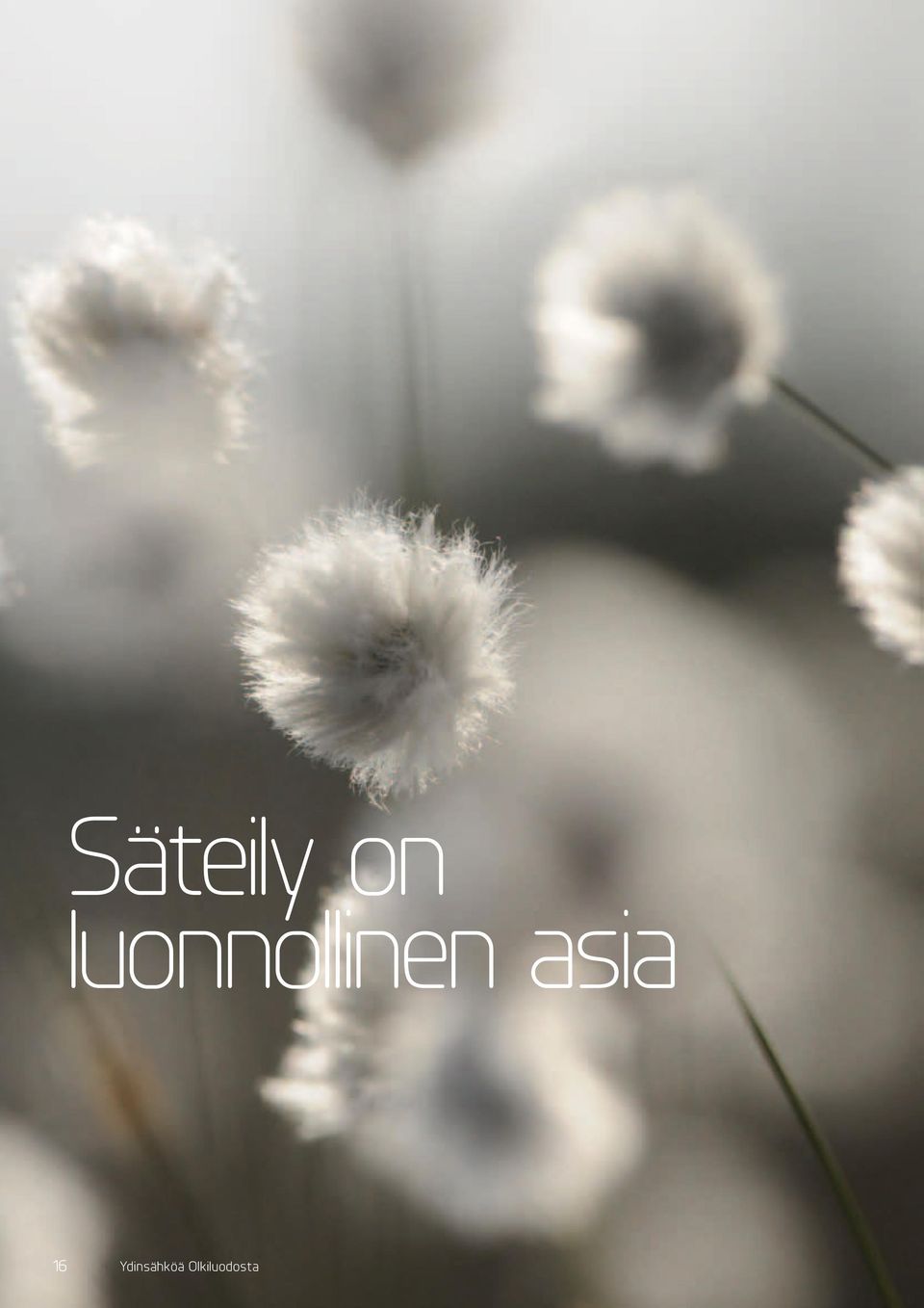 asia 16