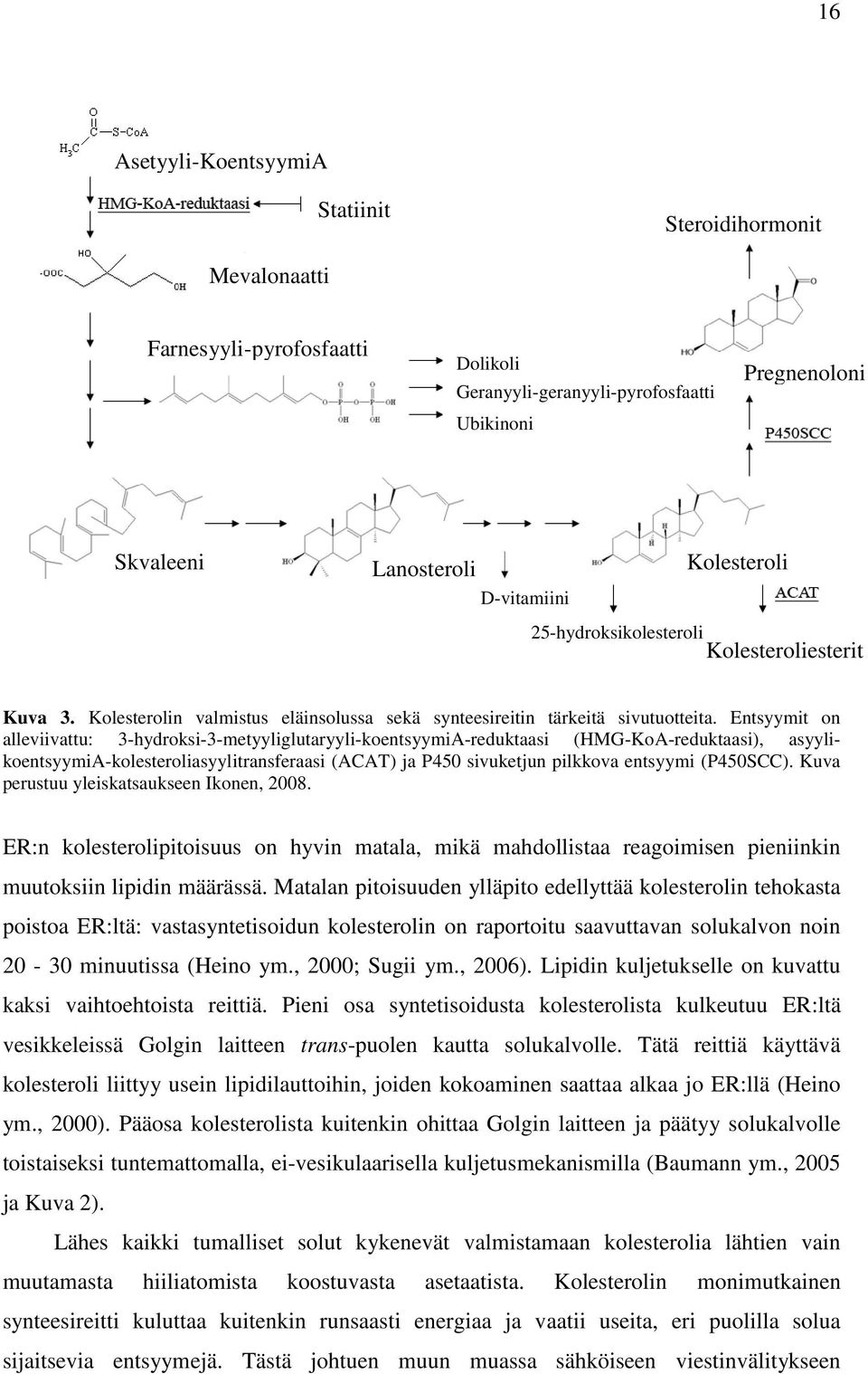 Entsyymit on alleviivattu: 3-hydroksi-3-metyyliglutaryyli-koentsyymiA-reduktaasi (HMG-KoA-reduktaasi), asyylikoentsyymia-kolesteroliasyylitransferaasi (ACAT) ja P450 sivuketjun pilkkova entsyymi