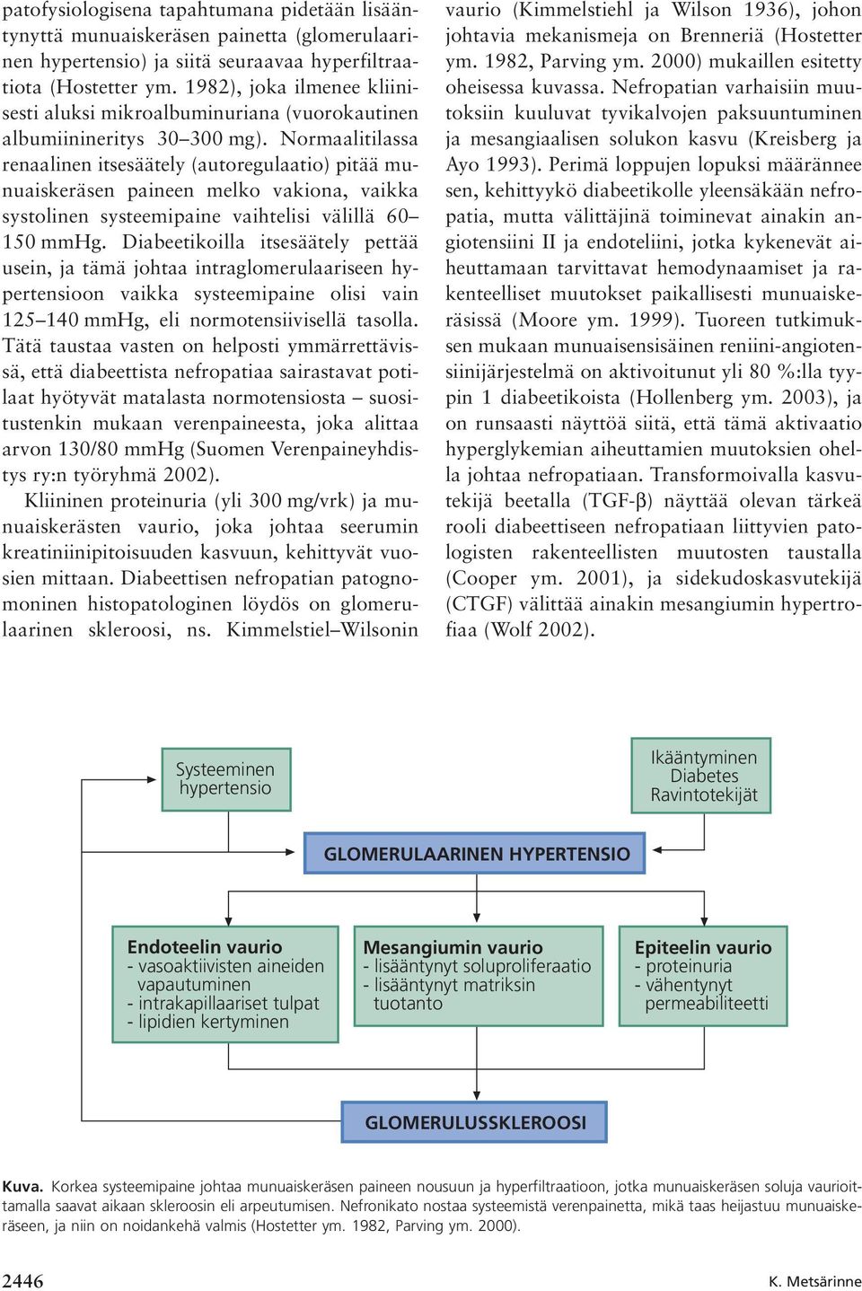 Normaalitilassa renaalinen itsesäätely (autoregulaatio) pitää munuaiskeräsen paineen melko vakiona, vaikka systolinen systeemipaine vaihtelisi välillä 60 150 mmhg.