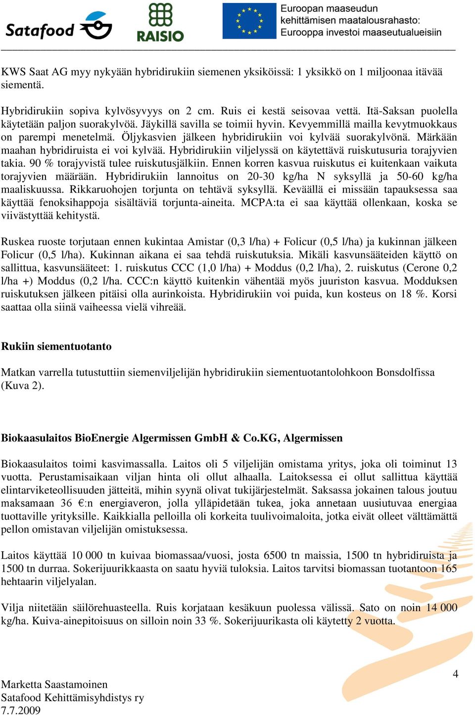 Märkään maahan hybridiruista ei voi kylvää. Hybridirukiin viljelyssä on käytettävä ruiskutusuria torajyvien takia. 90 % torajyvistä tulee ruiskutusjälkiin.