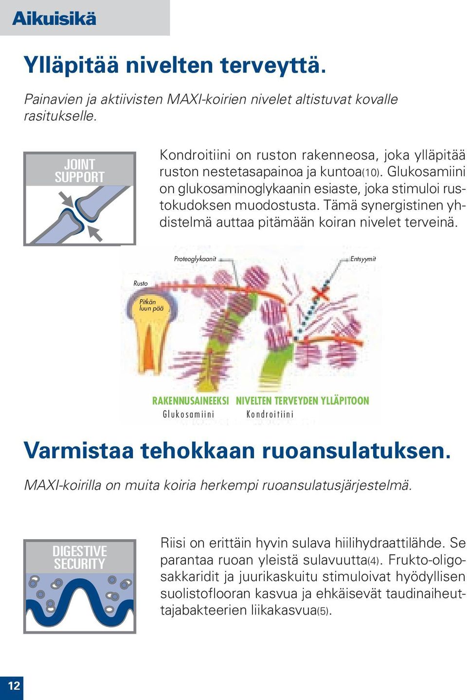 Tämä synergistinen yhdistelmä auttaa pitämään koiran nivelet terveinä.