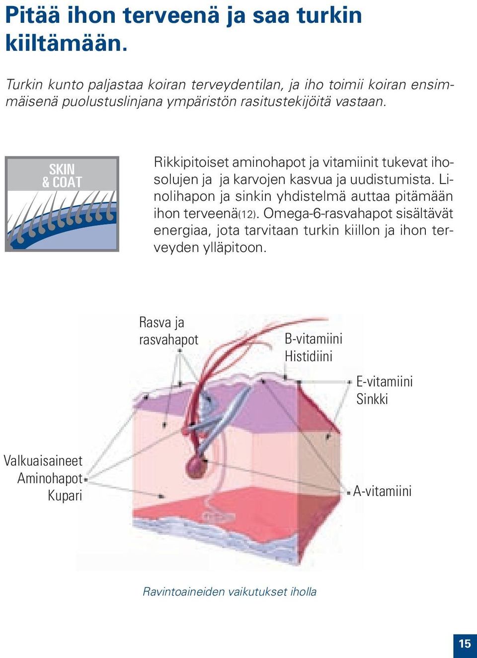 SKIN & COAT Rikkipitoiset aminohapot ja vitamiinit tukevat ihosolujen ja ja karvojen kasvua ja uudistumista.