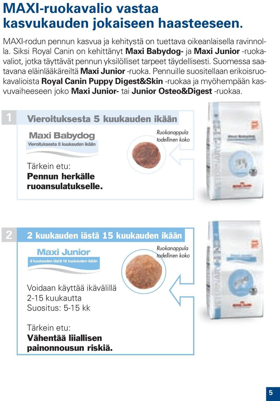 Pennuille suositellaan erikoisruokavalioista Royal Canin Puppy Digest&Skin -ruokaa ja myöhempään kasvuvaiheeseen joko Maxi Junior- tai Junior Osteo&Digest -ruokaa.