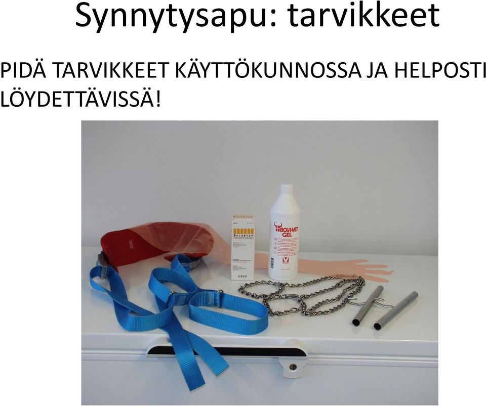 TARVIKKEET