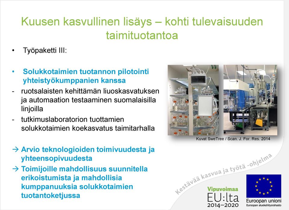 tutkimuslaboratorion tuottamien solukkotaimien koekasvatus taimitarhalla Arvio teknologioiden toimivuudesta ja yhteensopivuudesta