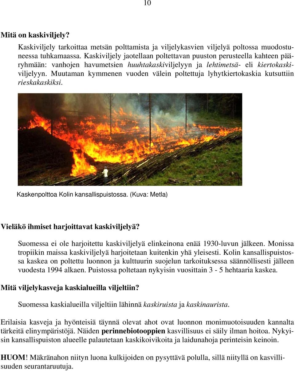 Muutaman kymmenen vuoden välein poltettuja lyhytkiertokaskia kutsuttiin rieskakaskiksi. Kaskenpolttoa Kolin kansallispuistossa. (Kuva: Metla) Vieläkö ihmiset harjoittavat kaskiviljelyä?