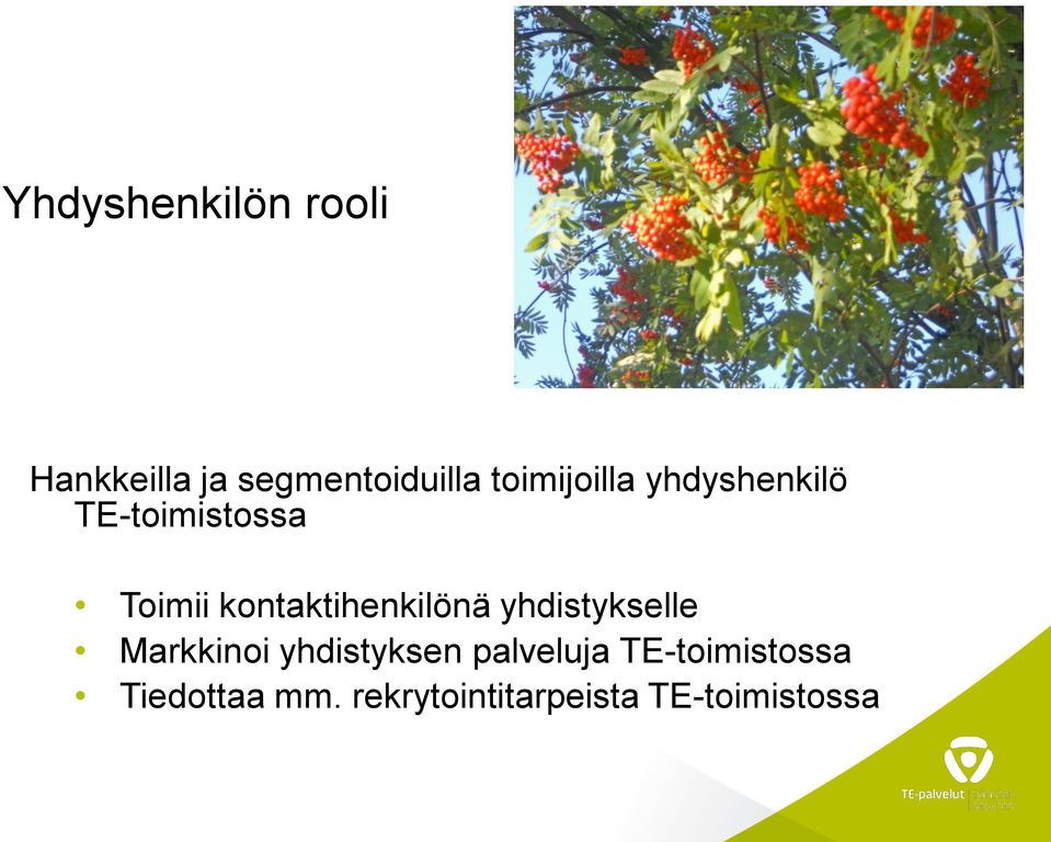 kontaktihenkilönä yhdistykselle Markkinoi yhdistyksen