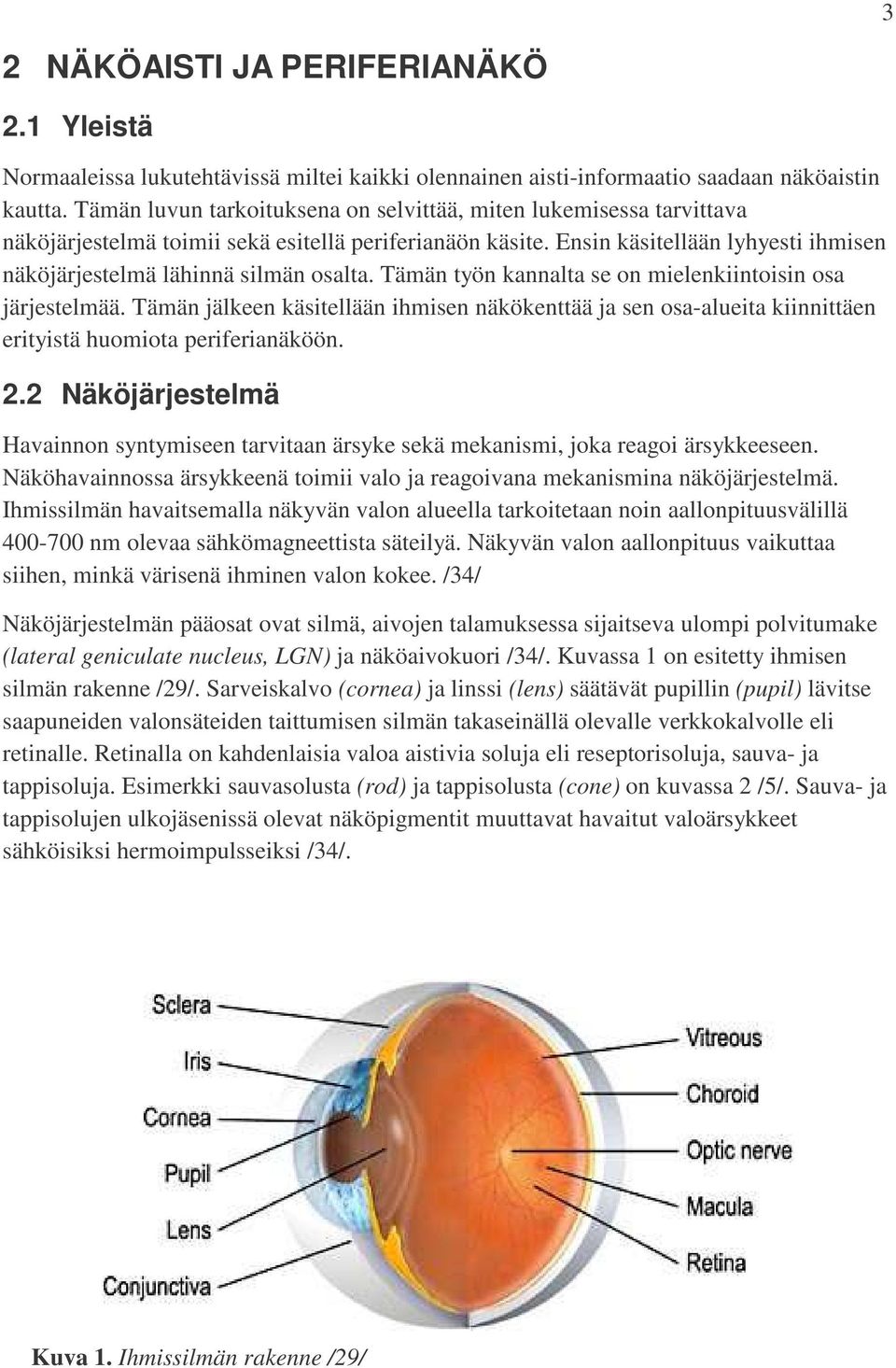 Ensin käsitellään lyhyesti ihmisen näköjärjestelmä lähinnä silmän osalta. Tämän työn kannalta se on mielenkiintoisin osa järjestelmää.