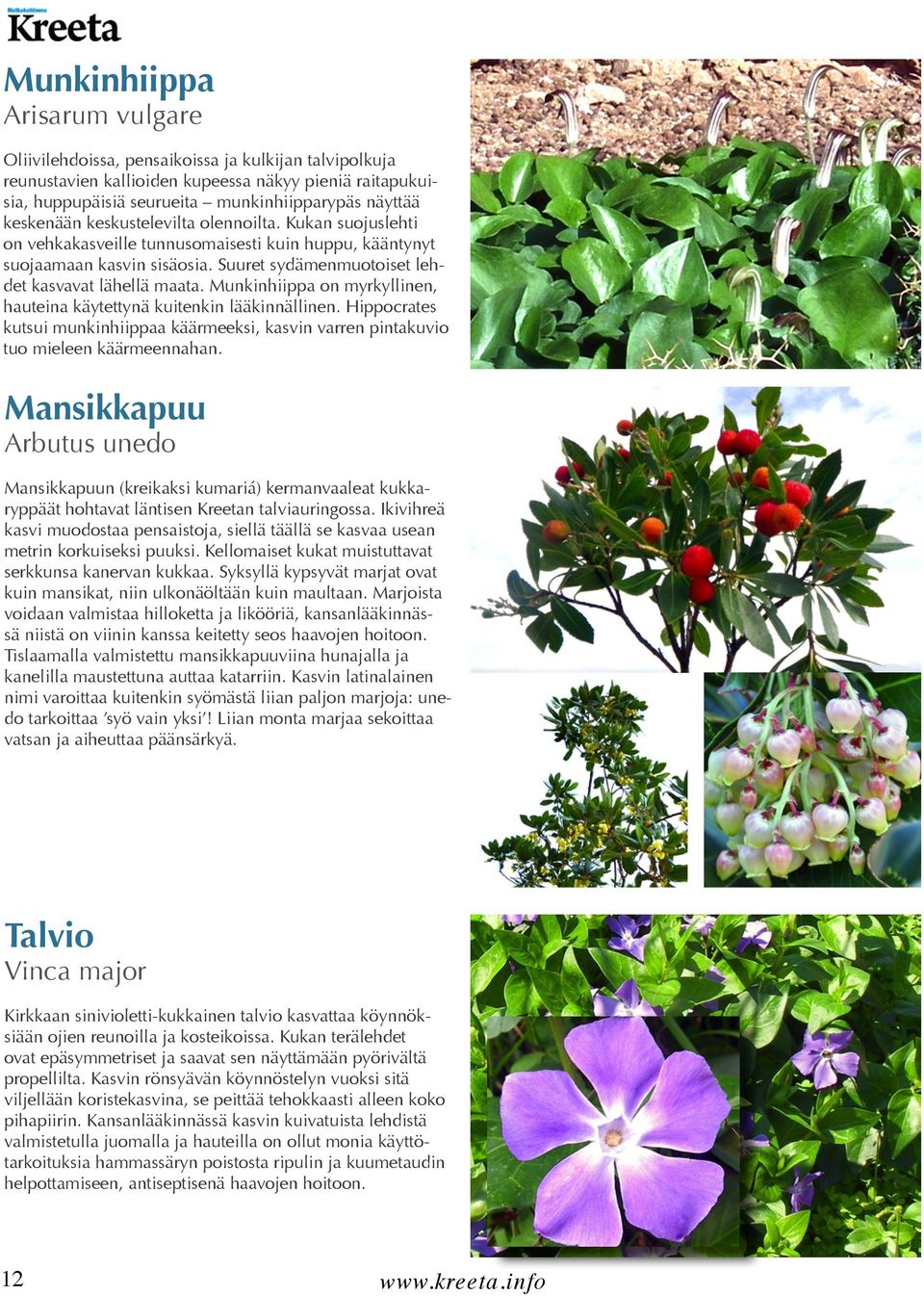 Munkinhiippa on myrkyllinen, hauteina käytettynä kuitenkin lääkinnällinen. Hippocrates kutsui munkinhiippaa käärmeeksi, kasvin varren pintakuvio tuo mieleen käärmeennahan.