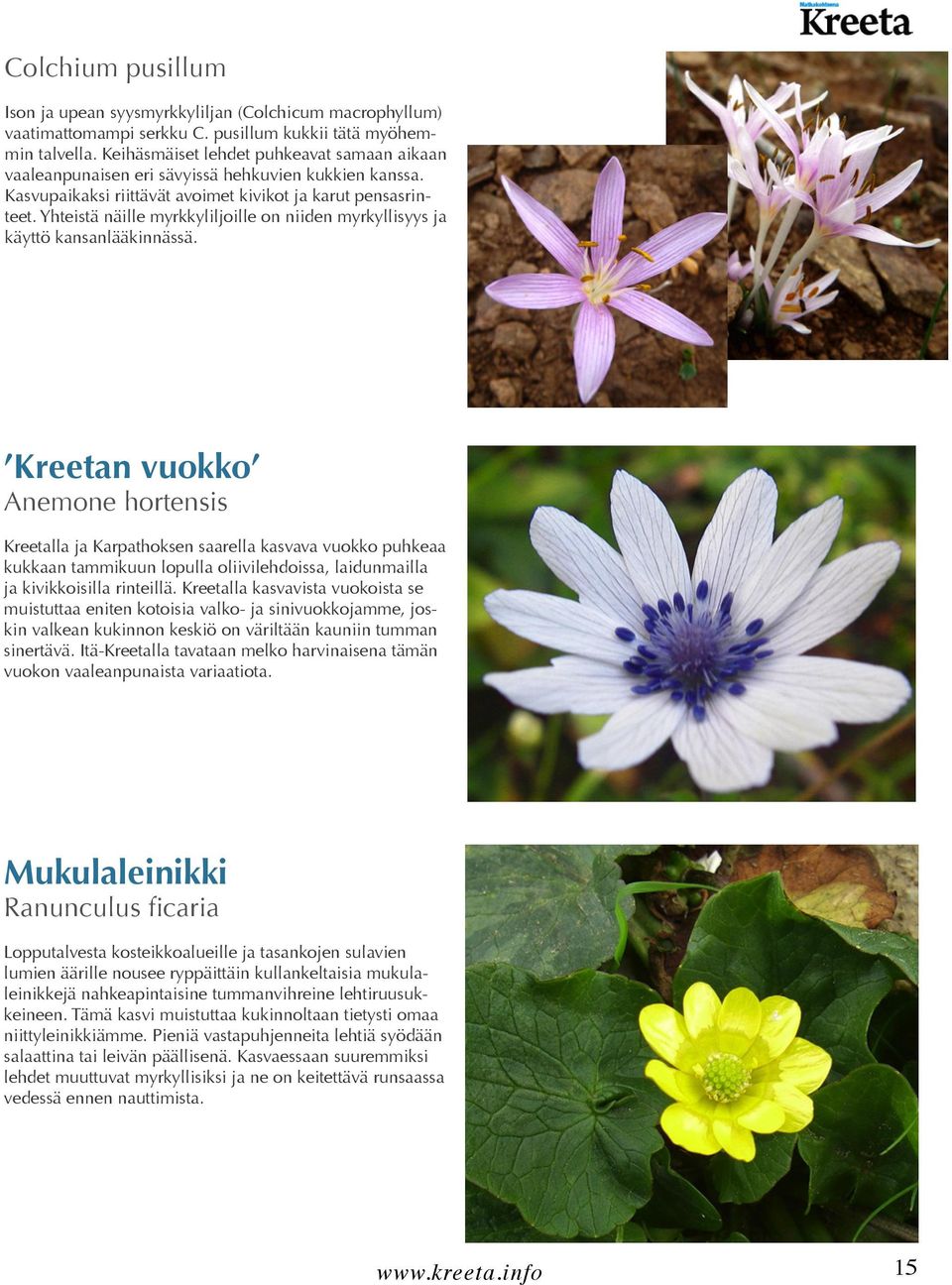 Yhteistä näille myrkkyliljoille on niiden myrkyllisyys ja käyttö kansanlääkinnässä.