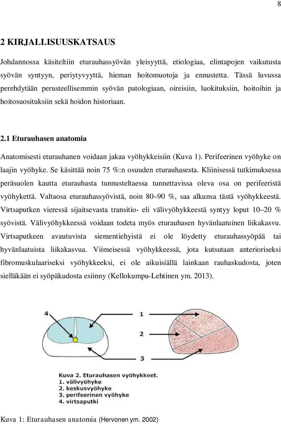 1 Eturauhasen anatomia Anatomisesti eturauhanen voidaan jakaa vyöhykkeisiin (Kuva 1). Perifeerinen vyöhyke on laajin vyöhyke. Se käsittää noin 75 %:n osuuden eturauhasesta.