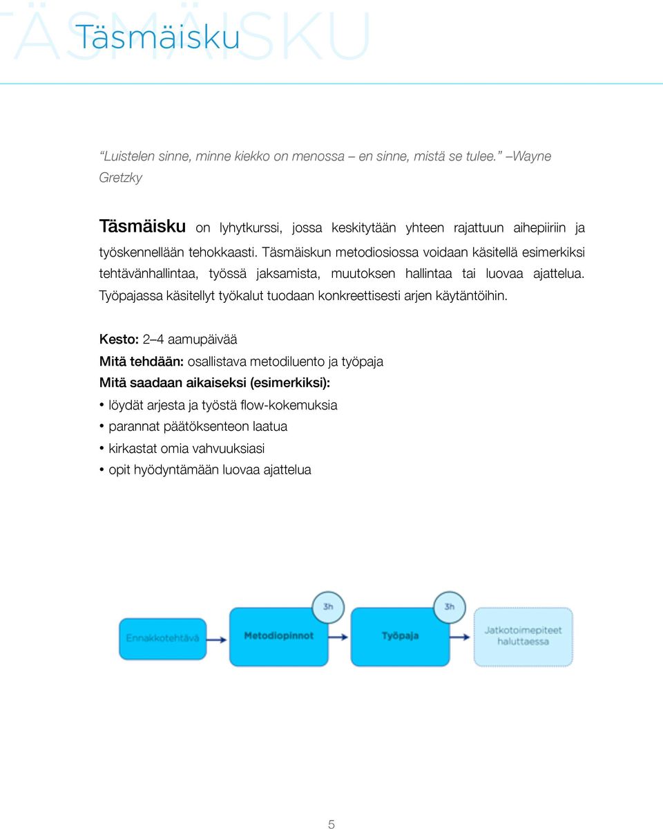 Täsmäiskun metodiosiossa voidaan käsitellä esimerkiksi tehtävänhallintaa, työssä jaksamista, muutoksen hallintaa tai luovaa ajattelua.