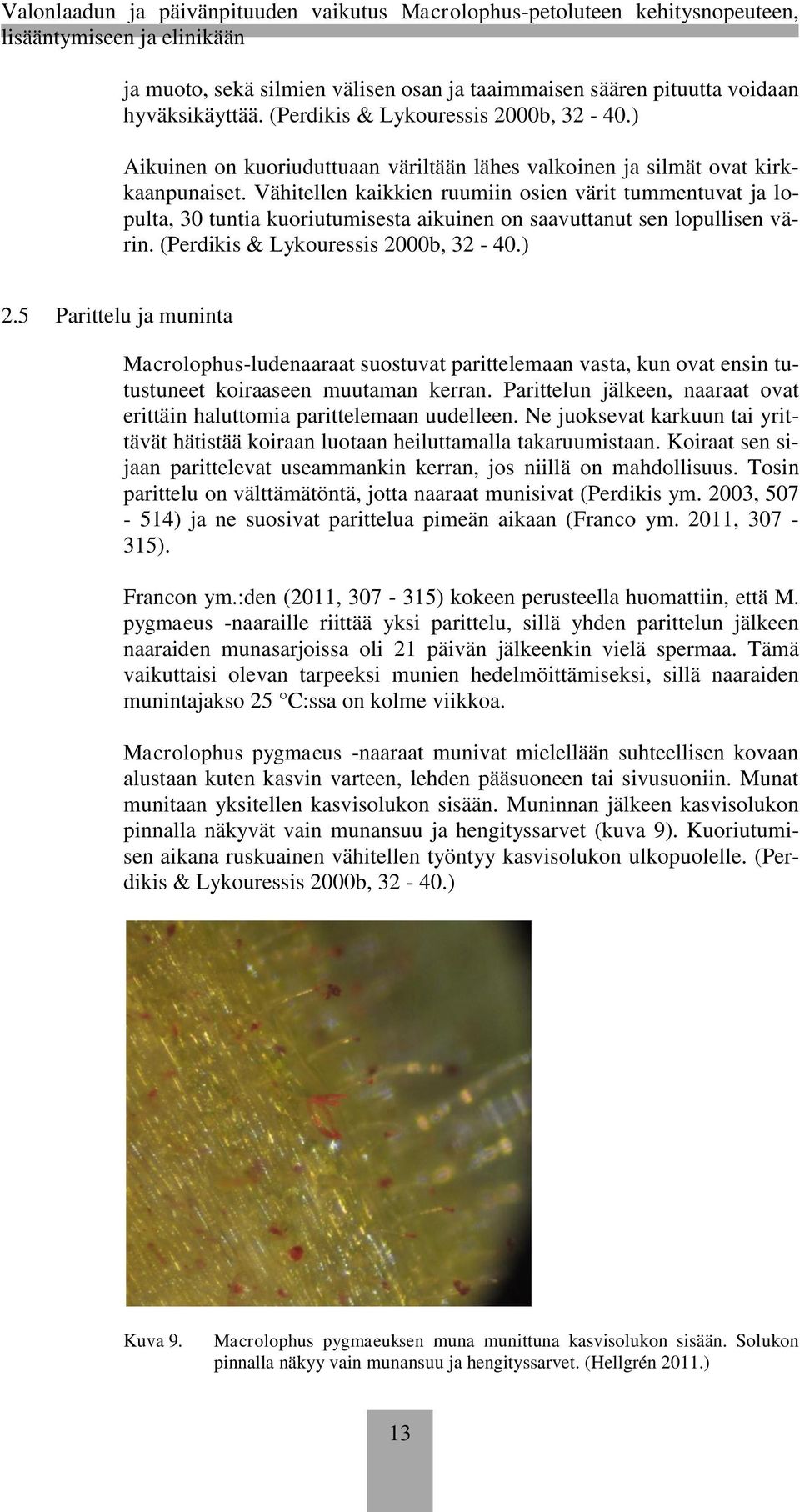 Vähitellen kaikkien ruumiin osien värit tummentuvat ja lopulta, 30 tuntia kuoriutumisesta aikuinen on saavuttanut sen lopullisen värin. (Perdikis & Lykouressis 2000b, 32-40.) 2.
