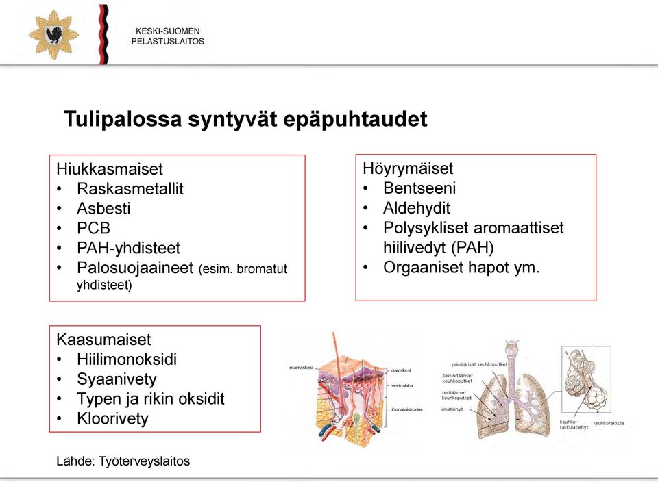bromatut yhdisteet) Höyrymäiset Bentseeni Aldehydit Polysykliset aromaattiset
