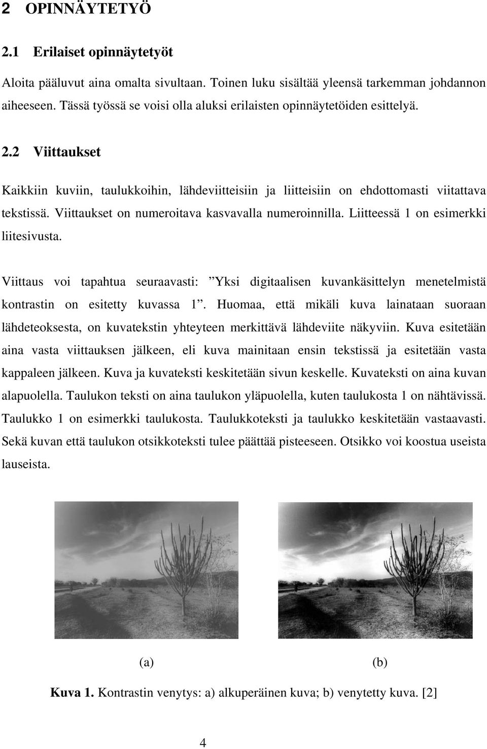 Viittaukset on numeroitava kasvavalla numeroinnilla. Liitteessä 1 on esimerkki liitesivusta.