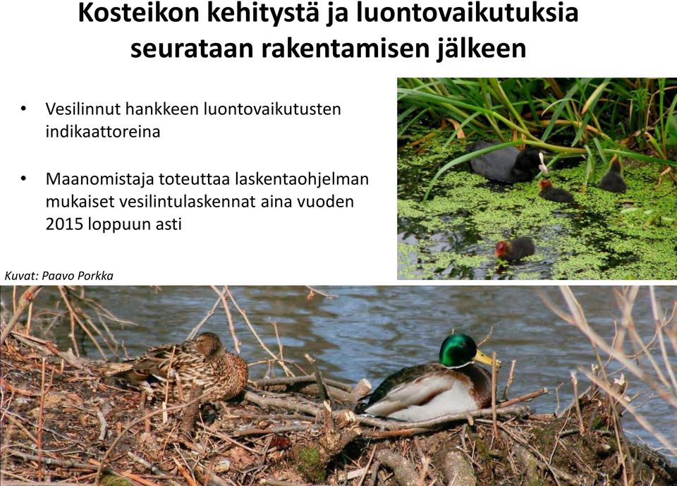 indikaattoreina Maanomistaja toteuttaa laskentaohjelman