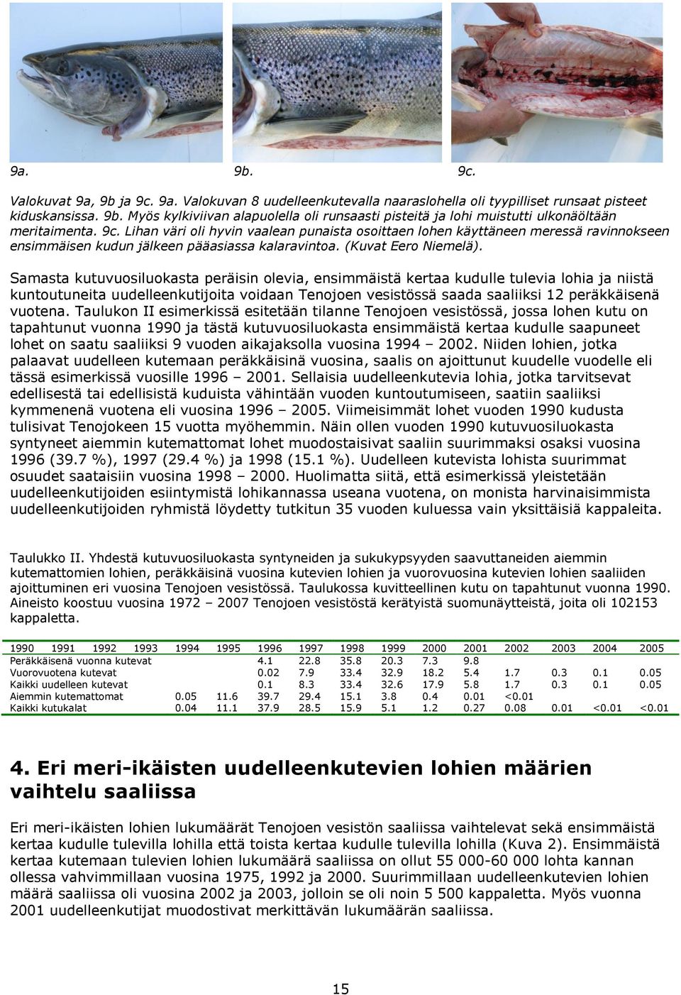 Samasta kutuvuosiluokasta peräisin olevia, ensimmäistä kertaa kudulle tulevia lohia ja niistä kuntoutuneita uudelleenkutijoita voidaan Tenojoen vesistössä saada saaliiksi 1 peräkkäisenä vuotena.