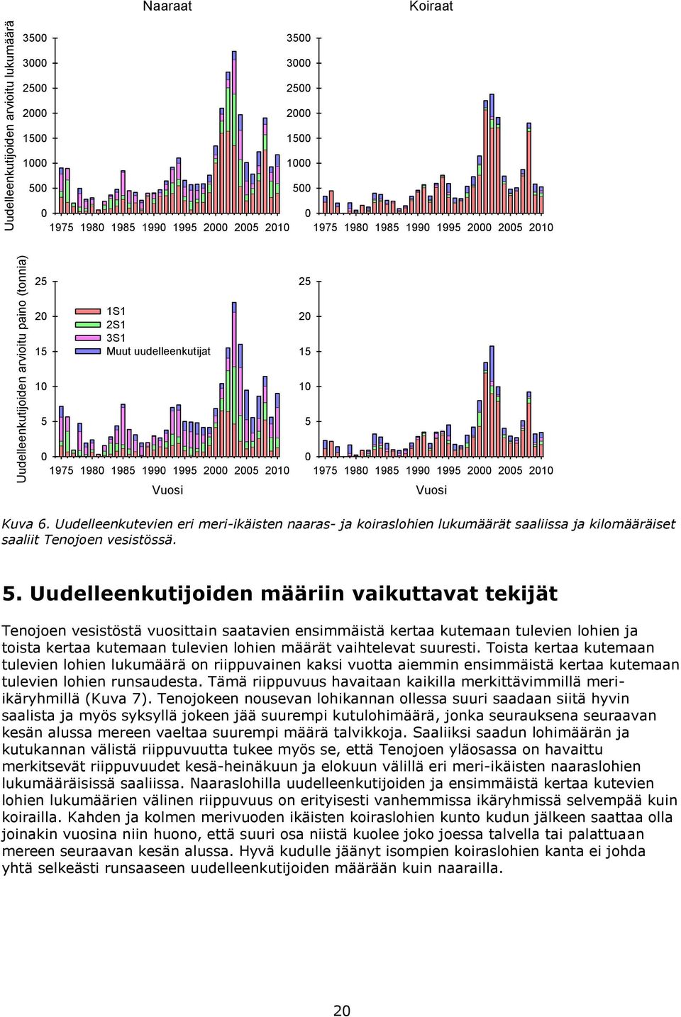 . Uudelleenkutijoiden määriin vaikuttavat tekijät Tenojoen vesistöstä vuosittain saatavien ensimmäistä kertaa kutemaan tulevien lohien ja toista kertaa kutemaan tulevien lohien määrät vaihtelevat