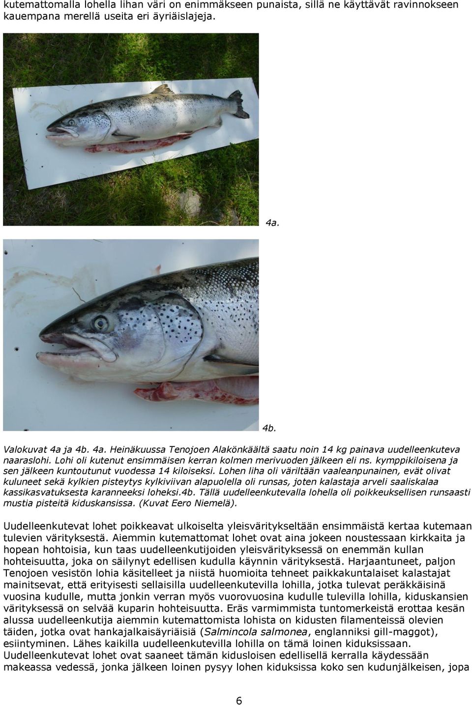 kymppikiloisena ja sen jälkeen kuntoutunut vuodessa 1 kiloiseksi.