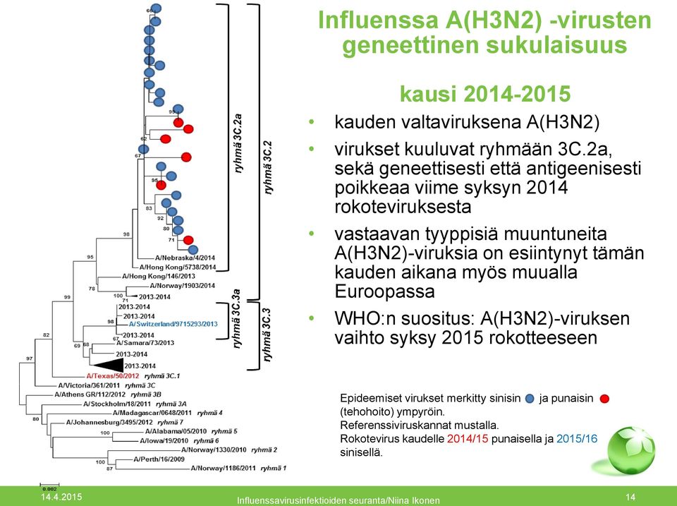 tämän kauden aikana myös muualla Euroopassa WHO:n suositus: A(H3N2)-viruksen vaihto syksy 2015 rokotteeseen Epideemiset virukset merkitty sinisin ja