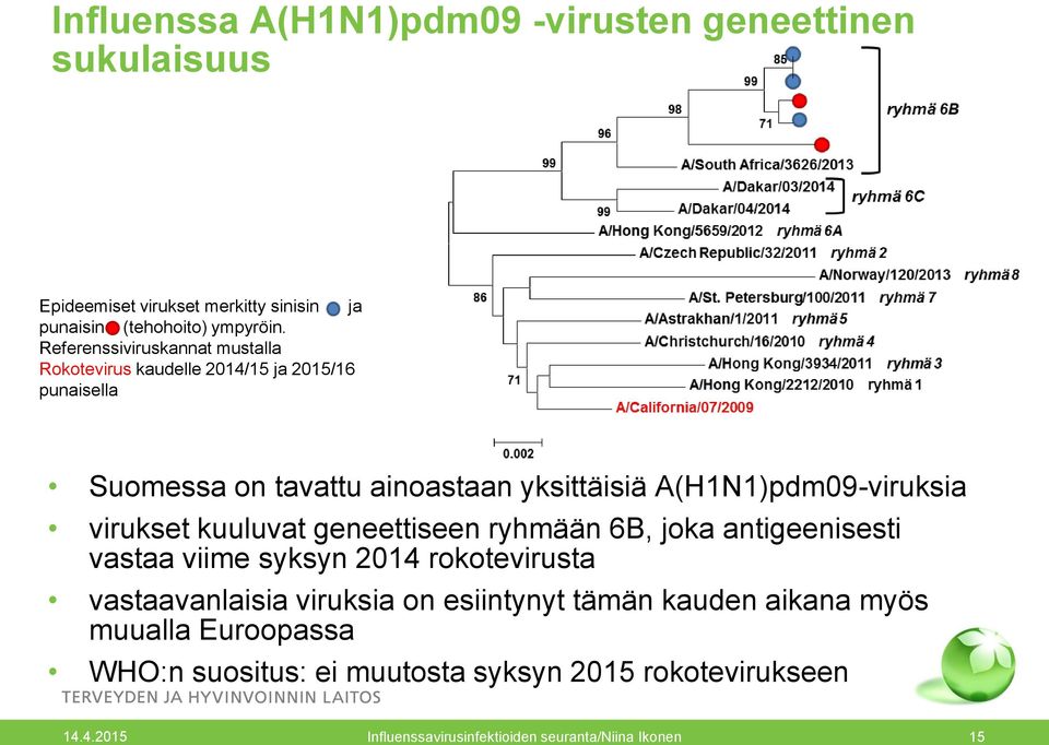 A(H1N1)pdm09-viruksia virukset kuuluvat geneettiseen ryhmään 6B, joka antigeenisesti vastaa viime syksyn 2014 rokotevirusta vastaavanlaisia