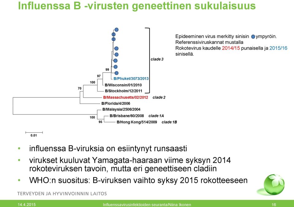 influenssa B-viruksia on esiintynyt runsaasti virukset kuuluvat Yamagata-haaraan viime syksyn 2014 rokoteviruksen