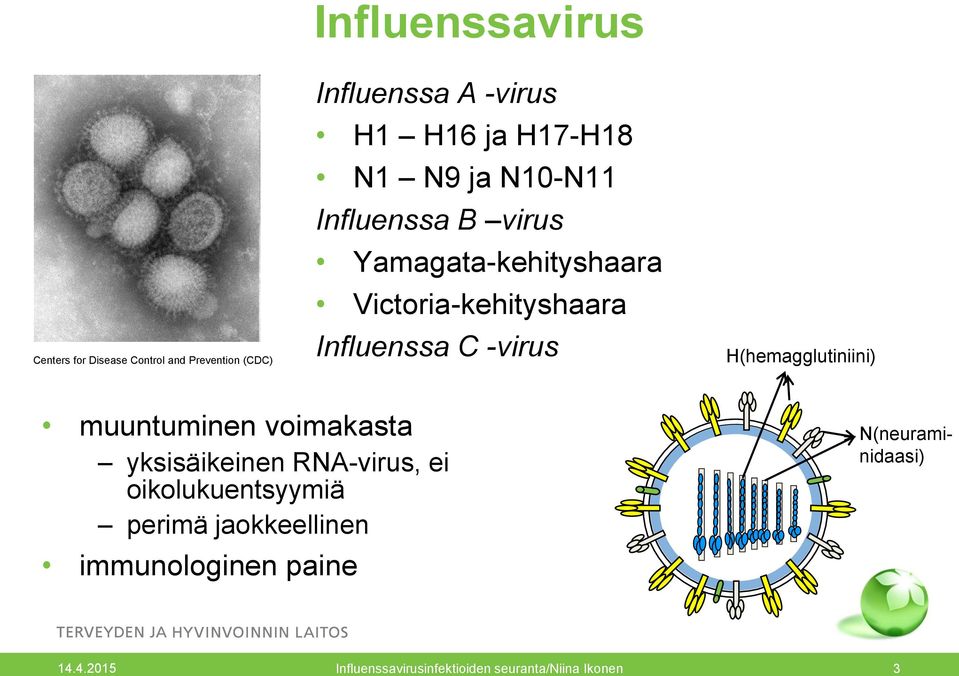 H(hemagglutiniini) muuntuminen voimakasta yksisäikeinen RNA-virus, ei oikolukuentsyymiä perimä