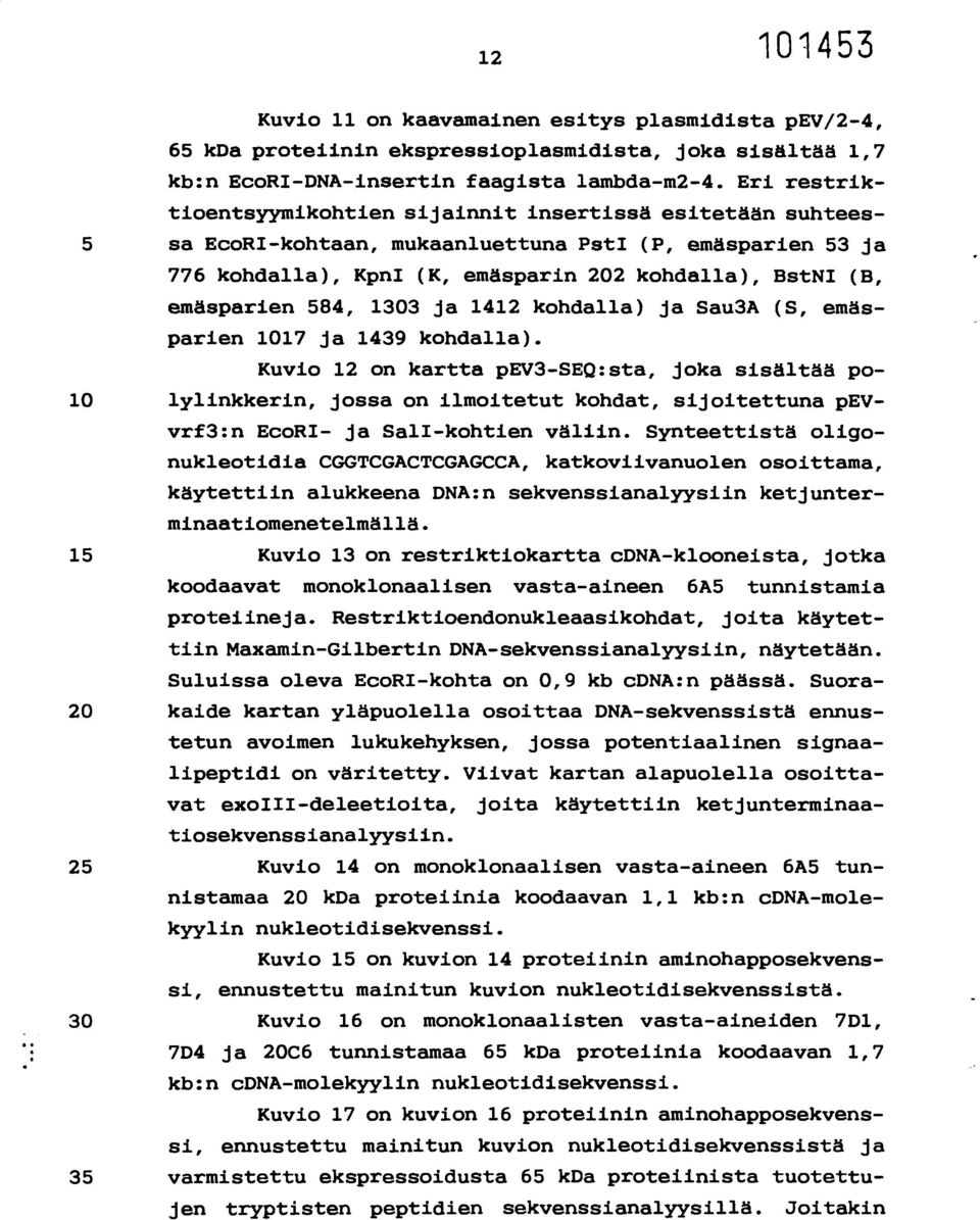 emäsparien 584, 1303 ja 1412 kohdalla) ja Sau3A (S, emäsparien 1017 ja 1439 kohdalla).