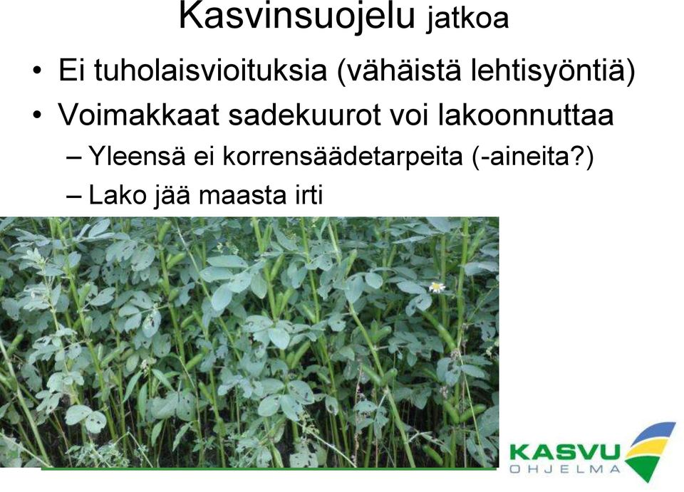 sadekuurot voi lakoonnuttaa Yleensä ei