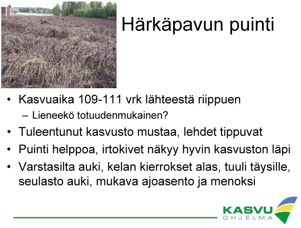 Tuleentunut kasvusto mustaa, lehdet tippuvat Puinti helppoa, irtokivet