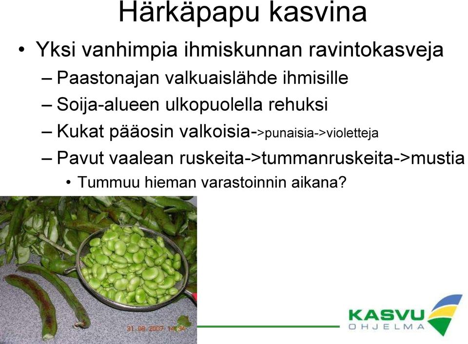 rehuksi Kukat pääosin valkoisia->punaisia->violetteja Pavut