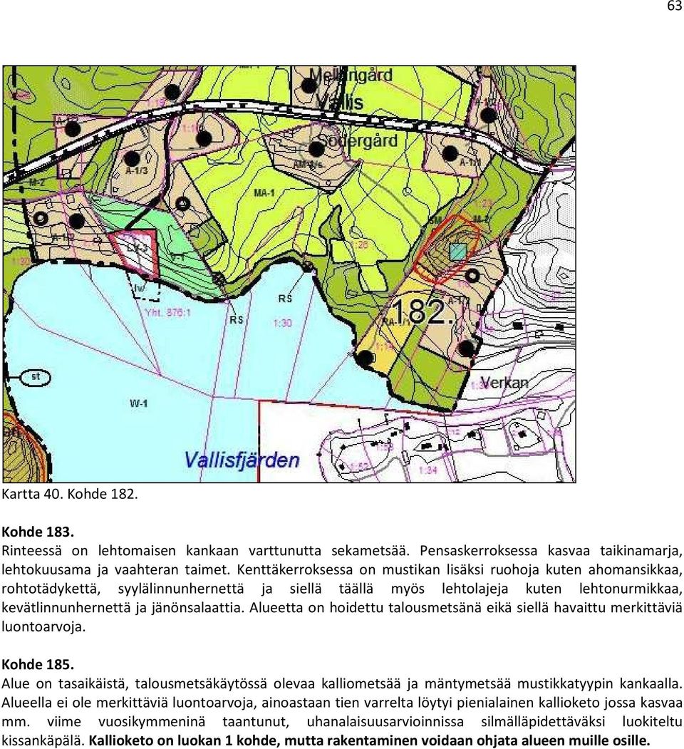 Alueetta on hoidettu talousmetsänä eikä siellä havaittu merkittäviä luontoarvoja. Kohde 185. Alue on tasaikäistä, talousmetsäkäytössä olevaa kalliometsää ja mäntymetsää mustikkatyypin kankaalla.