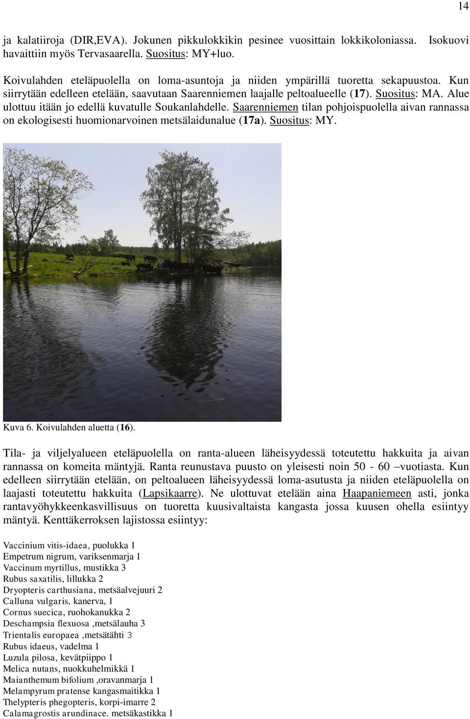 Alue ulottuu itään jo edellä kuvatulle Soukanlahdelle. Saarenniemen tilan pohjoispuolella aivan rannassa on ekologisesti huomionarvoinen metsälaidunalue (17a). Suositus: MY. Kuva 6.