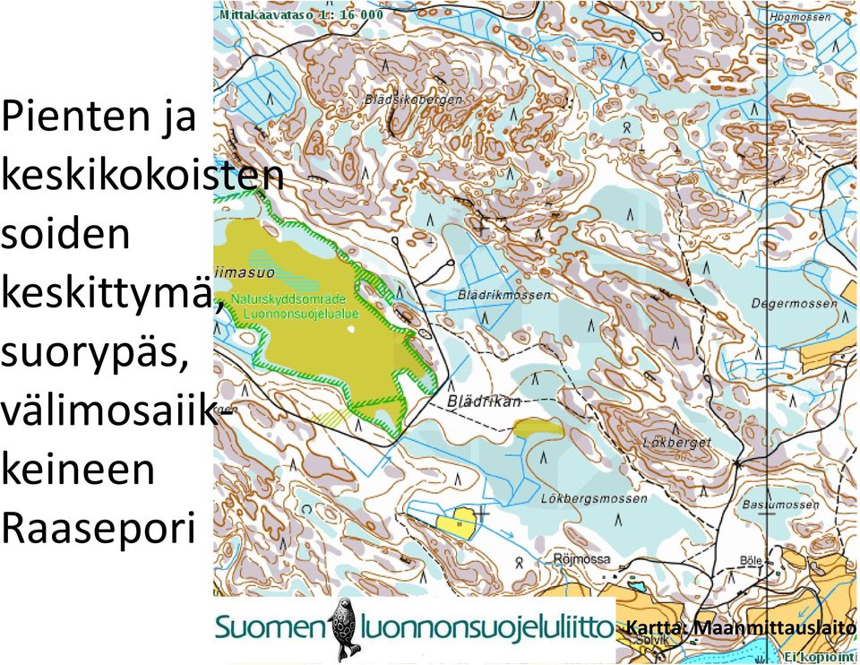 suorypäs,