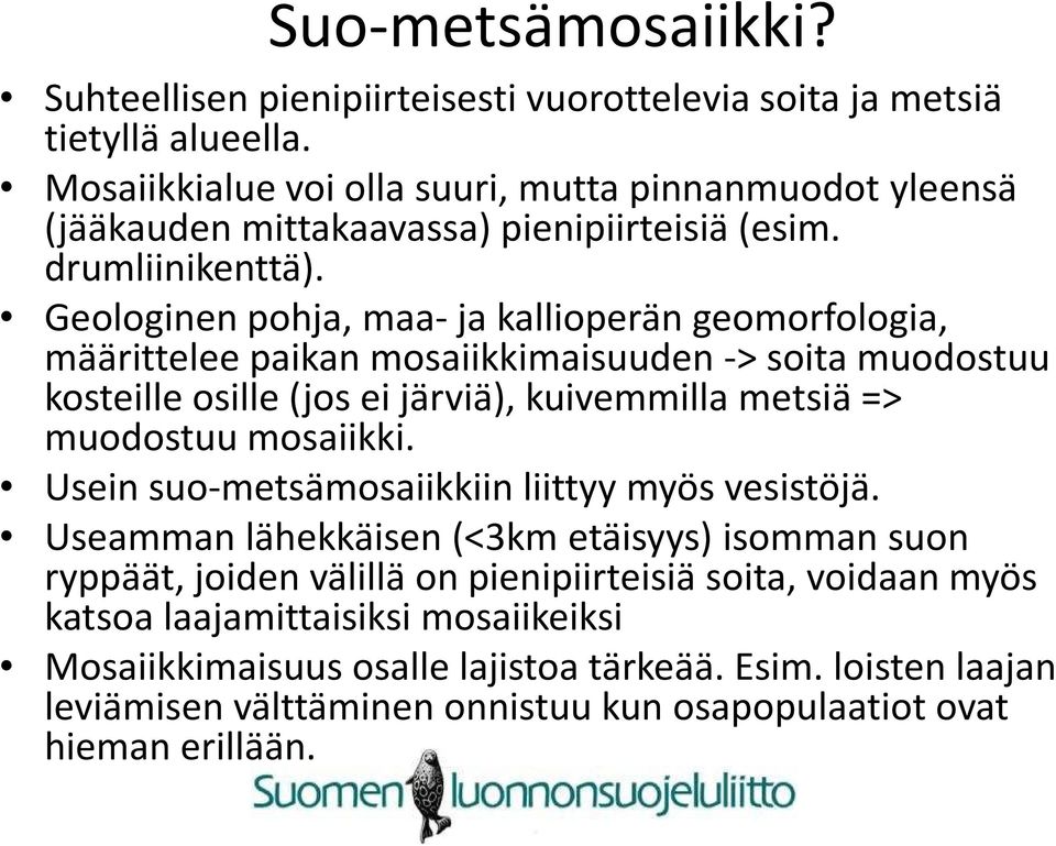 Geologinen pohja, maa-ja kallioperän geomorfologia, määrittelee paikan mosaiikkimaisuuden -> soita muodostuu kosteille osille (jos ei järviä), kuivemmilla metsiä => muodostuu mosaiikki.