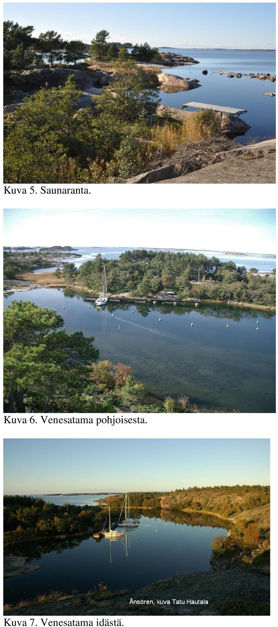 Venesatama