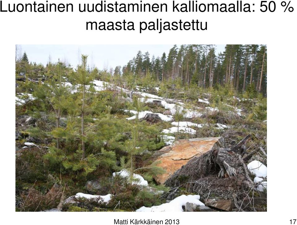 kalliomaalla: 50 %